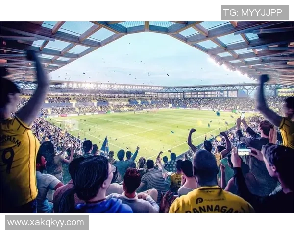 足球的魅力与挑战：从球场到全球文化的深远影响与演变